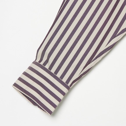 the Editor SHIRT (COTTON BROAD  STRIPE) 詳細画像 ベージュ 3