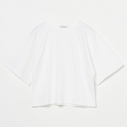 ロイヤルキールポンチビッグドルマンＴ