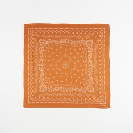 WESTERN SCARF