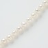 淡水PEARL SHORT NECKLACE 詳細画像