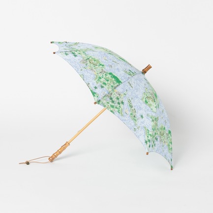 PARASOL