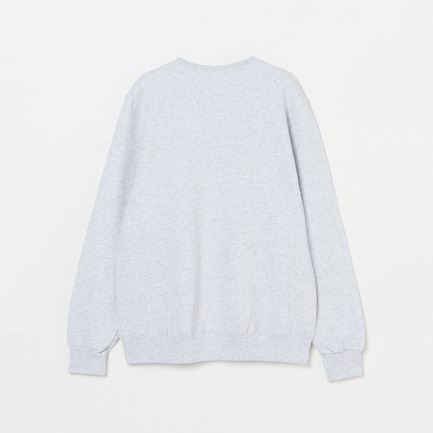 ARCH LOGO DRI-POWER SWEAT SHIRT 詳細画像 ミディアムグレー 1