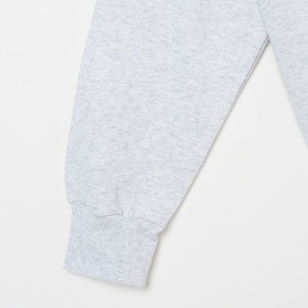 ARCH LOGO DRI-POWER SWEAT SHIRT 詳細画像 ミディアムグレー 3