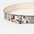 W PIN BELT PYTHON 詳細画像