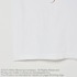 Miller TEE 詳細画像