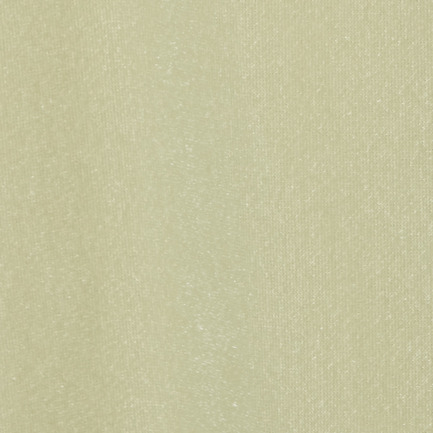 SHEER VELOUR LONG SLEEVE TEE 詳細画像 ライトグリーン 5