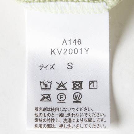 SHEER VELOUR LONG SLEEVE TEE 詳細画像 ライトグリーン 6