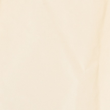 CURVED PLEATED SKIRT 詳細画像 アイボリー 5