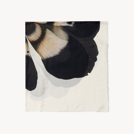 Fiorellina 詳細画像 ホワイト 3