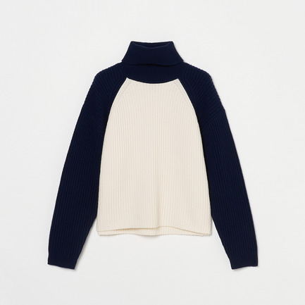 BICOLOR TURTLE NECK