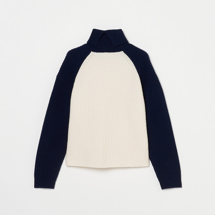 BICOLOR TURTLE NECK 詳細画像 アイボリー 2