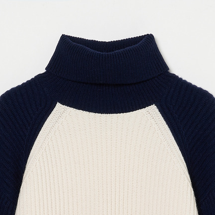 BICOLOR TURTLE NECK 詳細画像 アイボリー 3