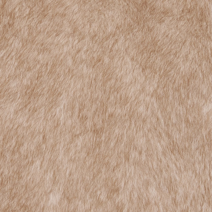 VELOUR FUR MILLY BLOUSN 詳細画像 アイボリー 5