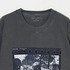 Jane Shades W Frame TEE 詳細画像